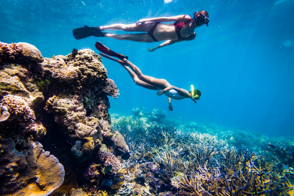 아야나 코모도 와에치쿠 비치, 만타 포인트의 경이로움 소개 27-Image